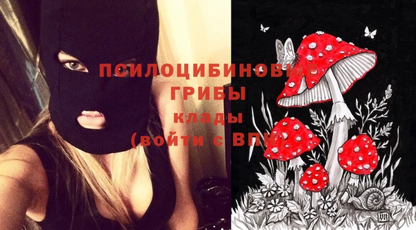 кокаин колумбия Белокуриха